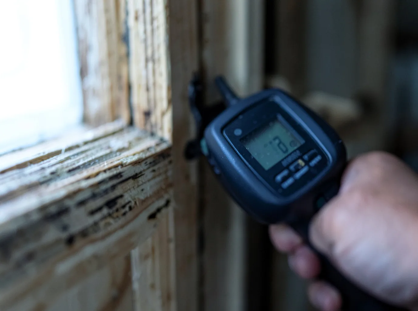 Moisture Inspection And Documentation in Forest Grove, MT
